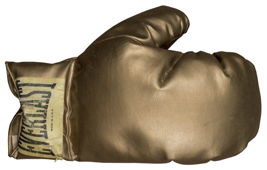 Everlast Commemorative Oversized Boxing Glove